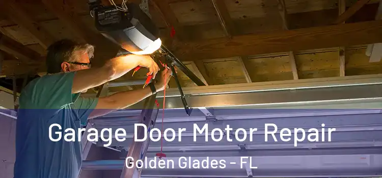  Garage Door Motor Repair Golden Glades - FL