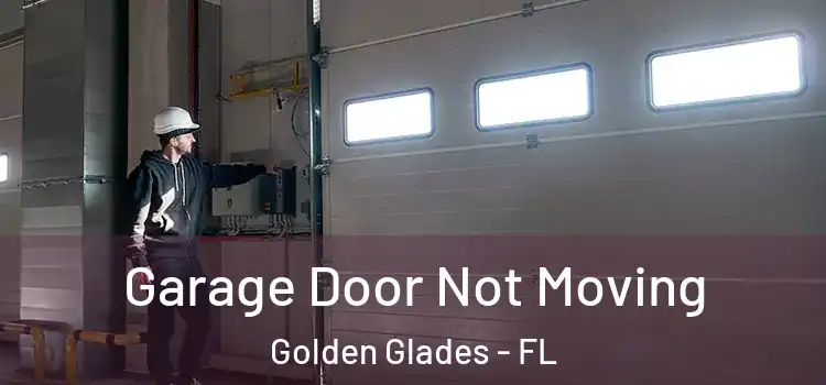  Garage Door Not Moving Golden Glades - FL