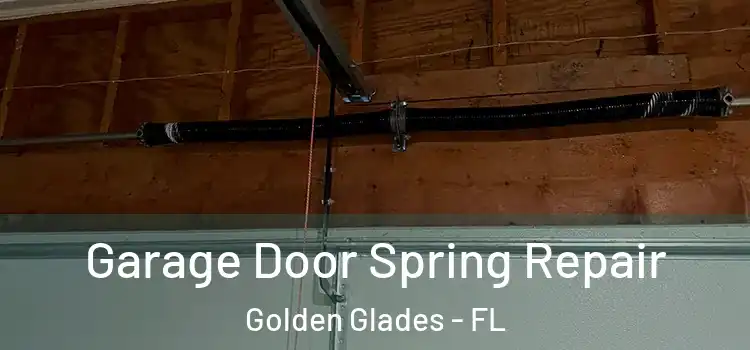  Garage Door Spring Repair Golden Glades - FL
