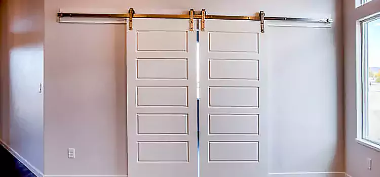Glass Barn Door with Installation Hardware Kit Golden Glades