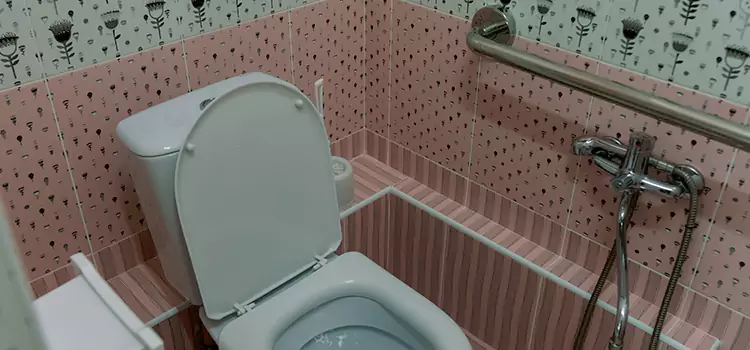 Meeting Diverse Needs With Accessible Restroom Solutions in Golden Glades, FL