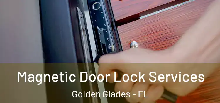 Magnetic Door Lock Services Golden Glades - FL